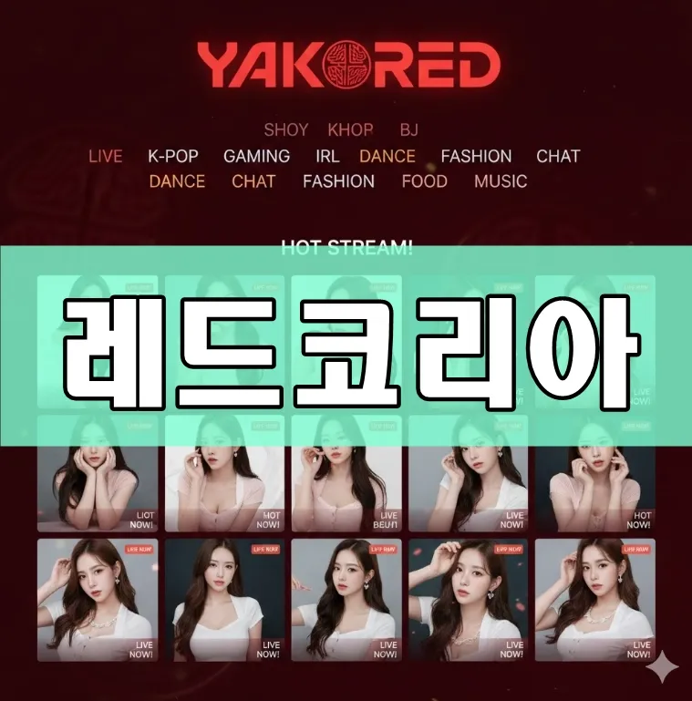 레드코리아 대표 인터페이스 스크린샷