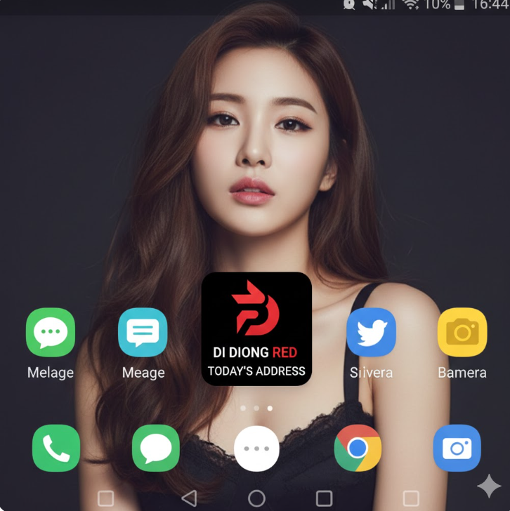 화면 중앙에는 **'DI DONG RED TODAY'S ADDRESS'**라는 이름의 전용 바로가기 아이콘이 배치되어 있습니다